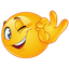 Google review by Suresh Joshi